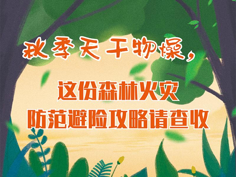 小普鱼应急科普丨秋季天气干燥，这份森林火灾防范避险攻略请查收